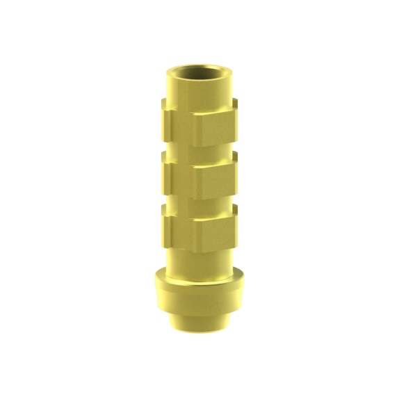 
                                                    Dentsply Friadent®
                                                    -
                                                    Xive®