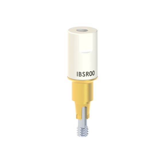 
                                                    Dentsply Friadent®
                                                    -
                                                    Ankylos®