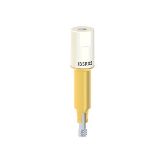 
                                                    Dentsply Friadent®
                                                    -
                                                    Ankylos®